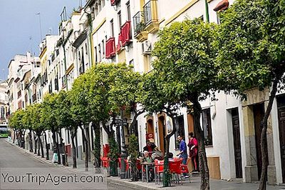 I 10 Migliori Bar Di Córdoba, Spagna