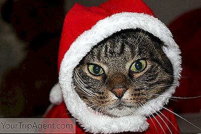 Die 10 Besten Dinge, Die Man In Berlin Sehen Und Unternehmen Kann Während Der Weihnachtszeit
