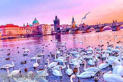10 Excellentes Raisons Pour Lesquelles Vous Devriez Visiter Prague