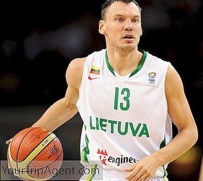 De 10 Mest Legendariske Litauiske Basketballspillere På Alle Tidspunkter