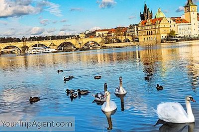 10 Cose Da Vedere E Da Fare A Kampa Island, Praga