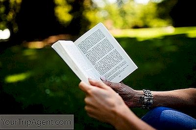 あなたが読むべき11の大きなルーマニアの小説