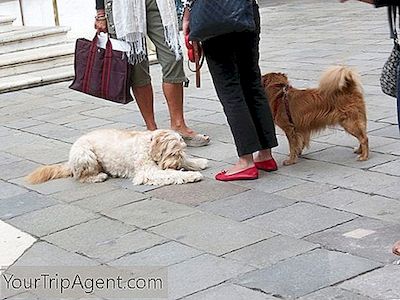 14 Things You Should Know Ennen Matkustamista Venetsiaan, Italiaan