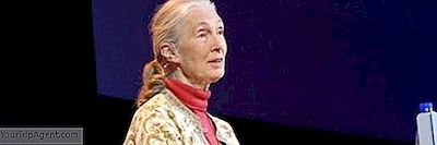 4 Knihy Jane Goodall Byste Měli Číst