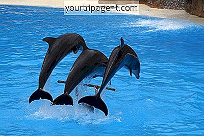 포르투갈에서 아이들과 함께 할 수있는 8 가지