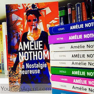 Amélie Nothomb'S 10 Zorunlu Okuma Kitabı