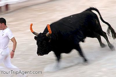 プロバンスでの闘牛の紹介