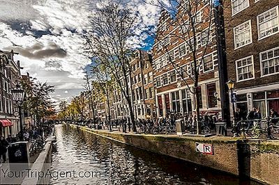 Los Mejores Mercados De Comida Y Pulgas En Ámsterdam