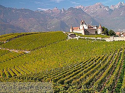 Los Mejores Viñedos En Ginebra, Suiza