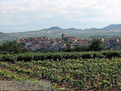 Die Besten Weinberge In La Rioja