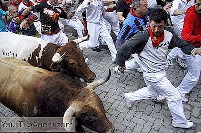 Breve Introduzione Al Festival Di San Fermín