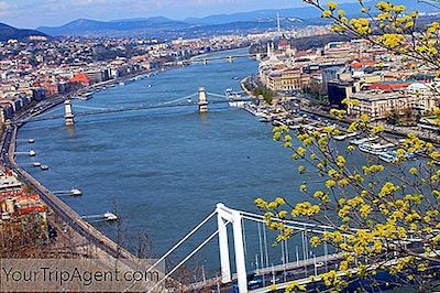 Buda หรือศัตรูพืช: ครึ่งหนึ่งของทุนฮังการีทำคนในท้องถิ่นชอบ?