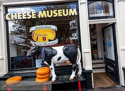 Panduan Cheese Lover Ke Amsterdam