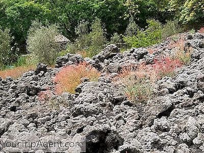 Základní Příručka Pro Turistiku Mount Etna, Sicílie