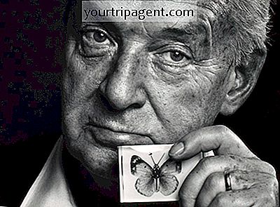 Năm Tác Phẩm Kinh Điển Của Vladimir Nabokov Thể Hiện Sức Mạnh Của Ông Đối Với Văn Xuôi