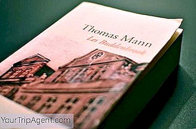 Şimdi Klasik Olarak Ele Alınan Beş Thomas Mann Romanı