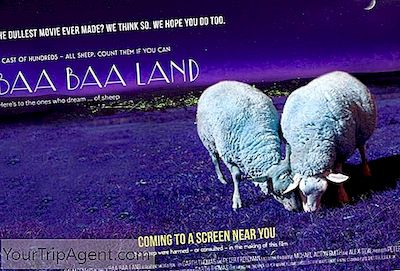 ¿Es Esta La Película Más Aburrida De Todos Los Tiempos?