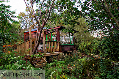 Închirierea De Airbnb În Irlanda