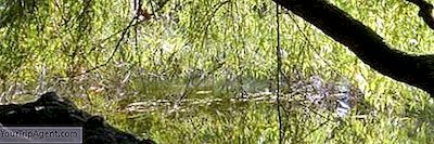 アムステルダムで最も美しい公園