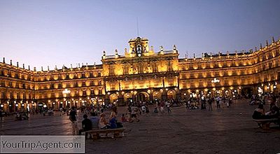 Los Platos Más Tradicionales Que Debes Probar En Salamanca, España