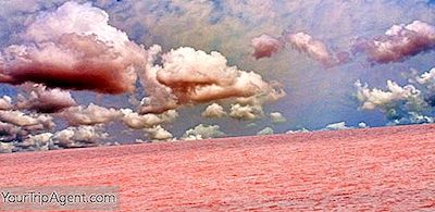 Espanjan Pink-Vesijärvi, Las Salinas De Torrevieja