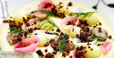 Estos Son Oficialmente Los Mejores Restaurantes De Reikiavik