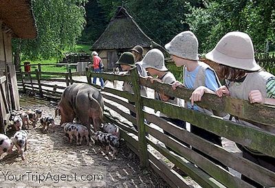 Top 10 Dingen Om Te Zien En Te Doen Met Kinderen In Hamburg