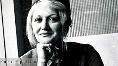 Vesna Vulović: Nainen, Joka Kohosi Taivaasta