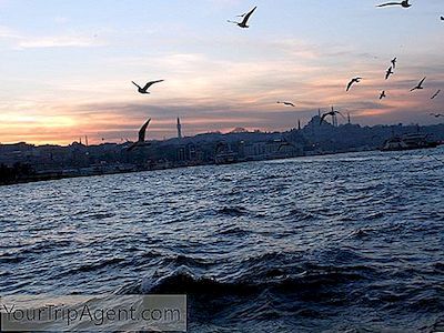 Panduan Anda Untuk Pelayaran Bosphorus Sempurna Dari Istanbul