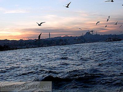 Seu Guia Do Cruzeiro Perfeito Do Bósforo Saindo De Istambul