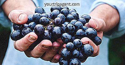 Panduan Pemula Untuk Minum Anggur Perancis