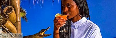 Die Top 10 Der Schrulligen Bars In Paris