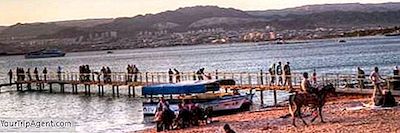 요르단 Aqaba에서해야 할 10 가지 주요 활동