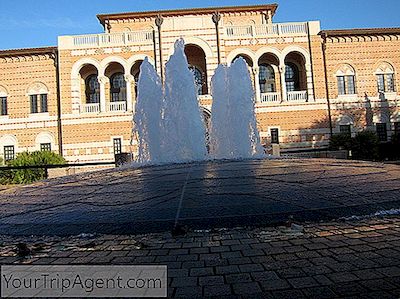 Los 10 Mejores Bares De Rice Village, Houston