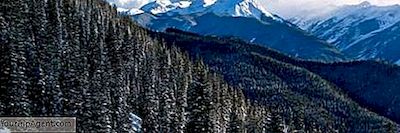 Les 10 Meilleurs Brunchs À Aspen, Colorado