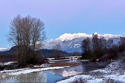 I 10 Migliori Ristoranti Di Coquitlam, British Columbia