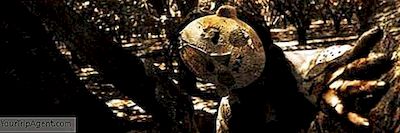 10 Horrorfilme Über Real-Life Serienmörder