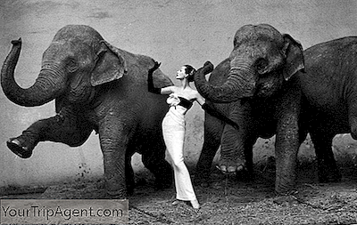 10 Fotografi De Moda Iconic