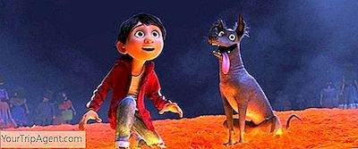 あなたが実際にメキシコに行くことができるココの11の場所