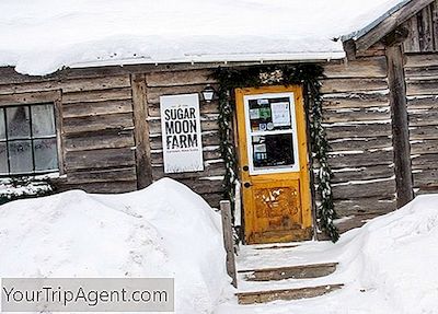 14 Perfekt Saker Att Göra I Nova Scotia Under Vinter