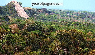 15 Nhà Nghỉ Mát Jungle Tuyệt Vời Nhất Ở Mexico
