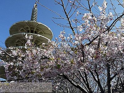 21 Cosas Que Hacer En Spring En San Francisco