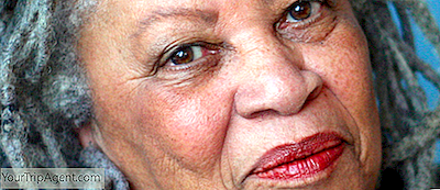 5 Essential Toni Morrison Classics Da Leggere