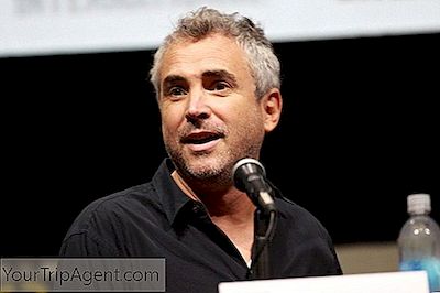 6 ภาพยนตร์ Must-See ของ Alfonso Cuarón