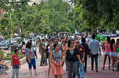 De 7 Coolste Buurten In Guadalajara
