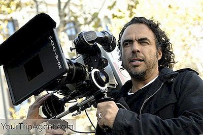 Alejandro González Iñárritu의 7 개의 필수 필름