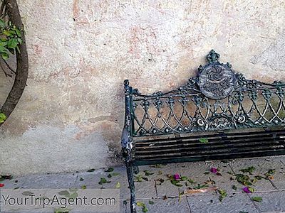De 8 Beste Vingårdene I Mexico