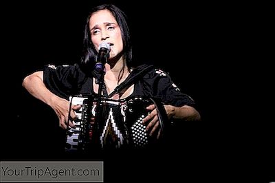 Eine Einführung In Julieta Venegas In 14 Songs