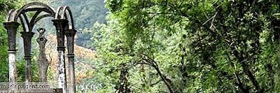 Nghệ Thuật Điên Rồ: Edward James'S 
