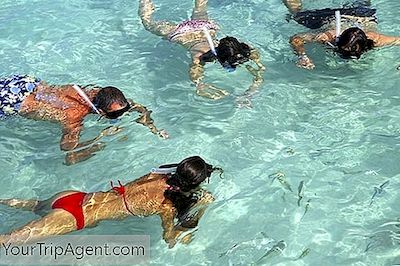 Nejlepší Party Hostely A Hotely V Cancúnu